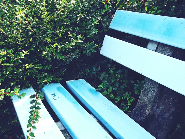 将大大增加 将大大增加