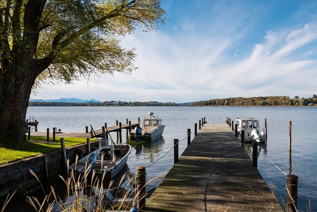 并不是单一 并不是单一