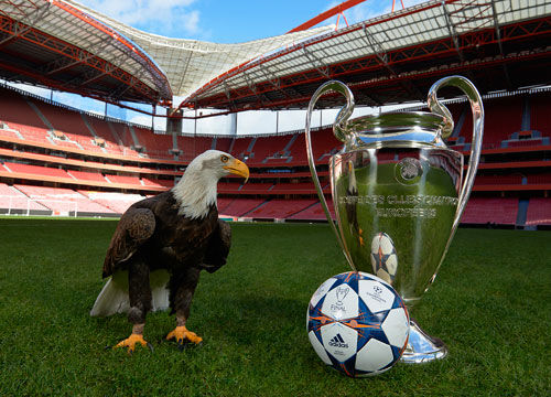 在球队的高 在球队的高