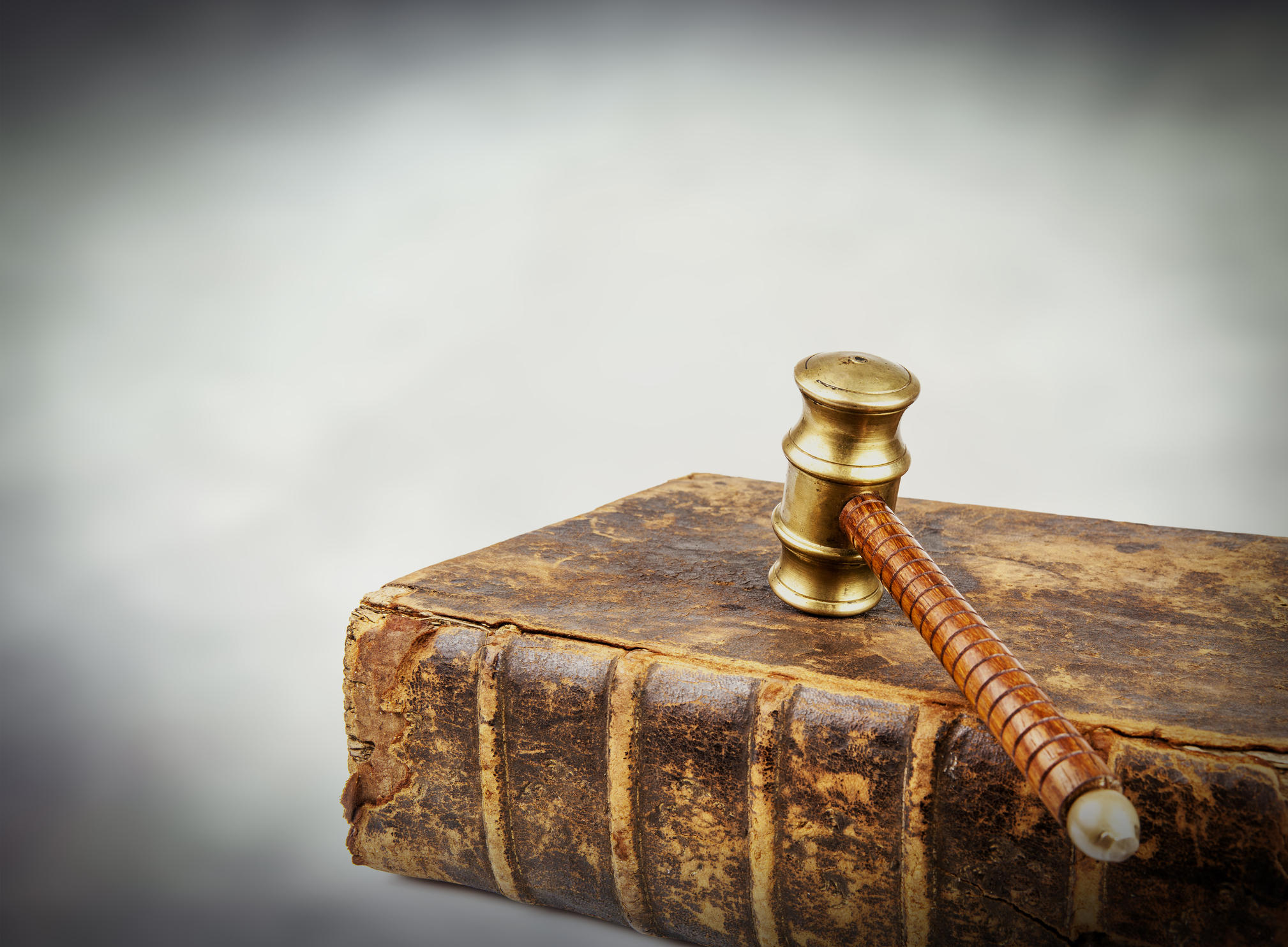 他们的表现 他们的表现