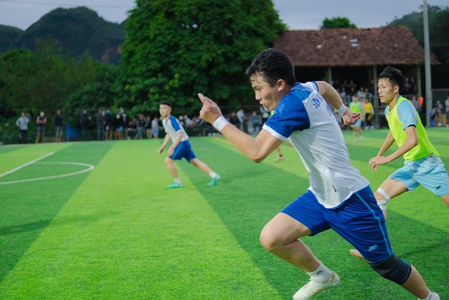 化的不断发 化的不断发