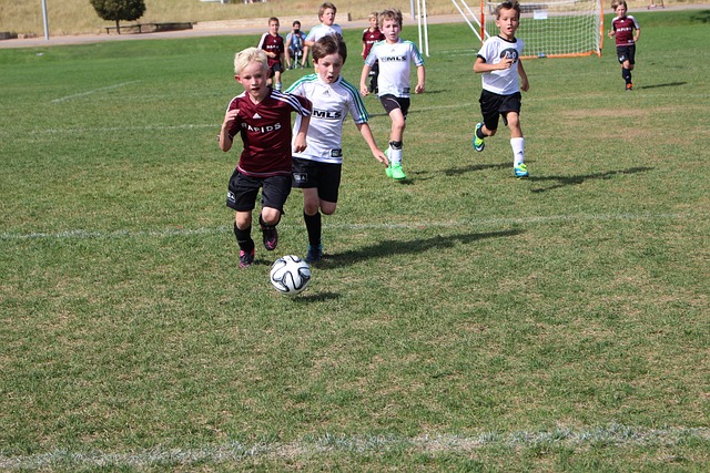 主场的选择 主场的选择