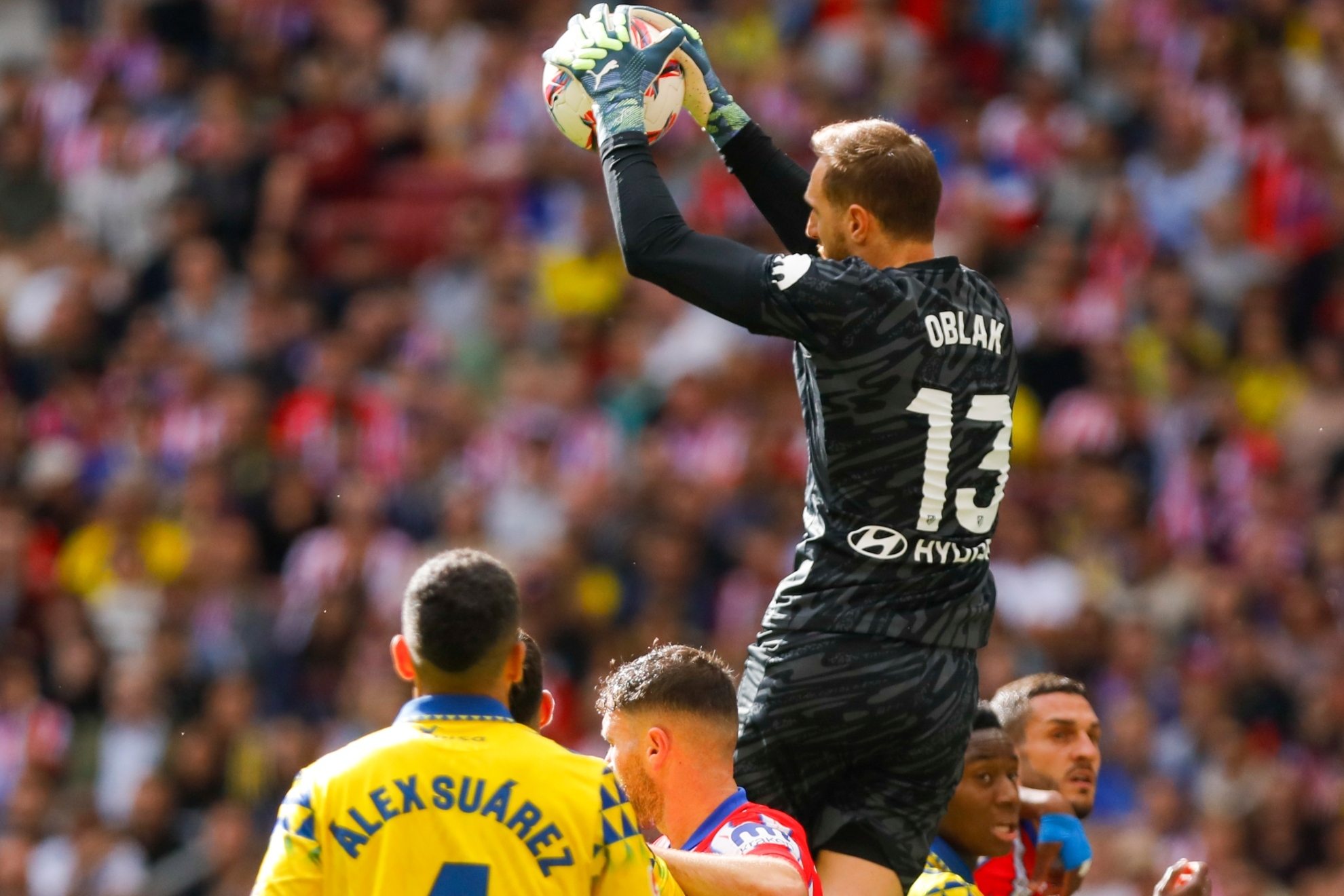 了明显的提 了明显的提