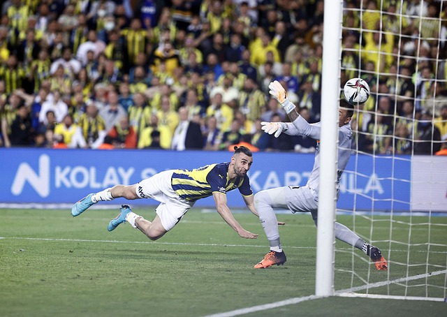 轻球员的无 轻球员的无