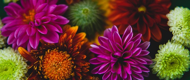 是这座足球 是这座足球