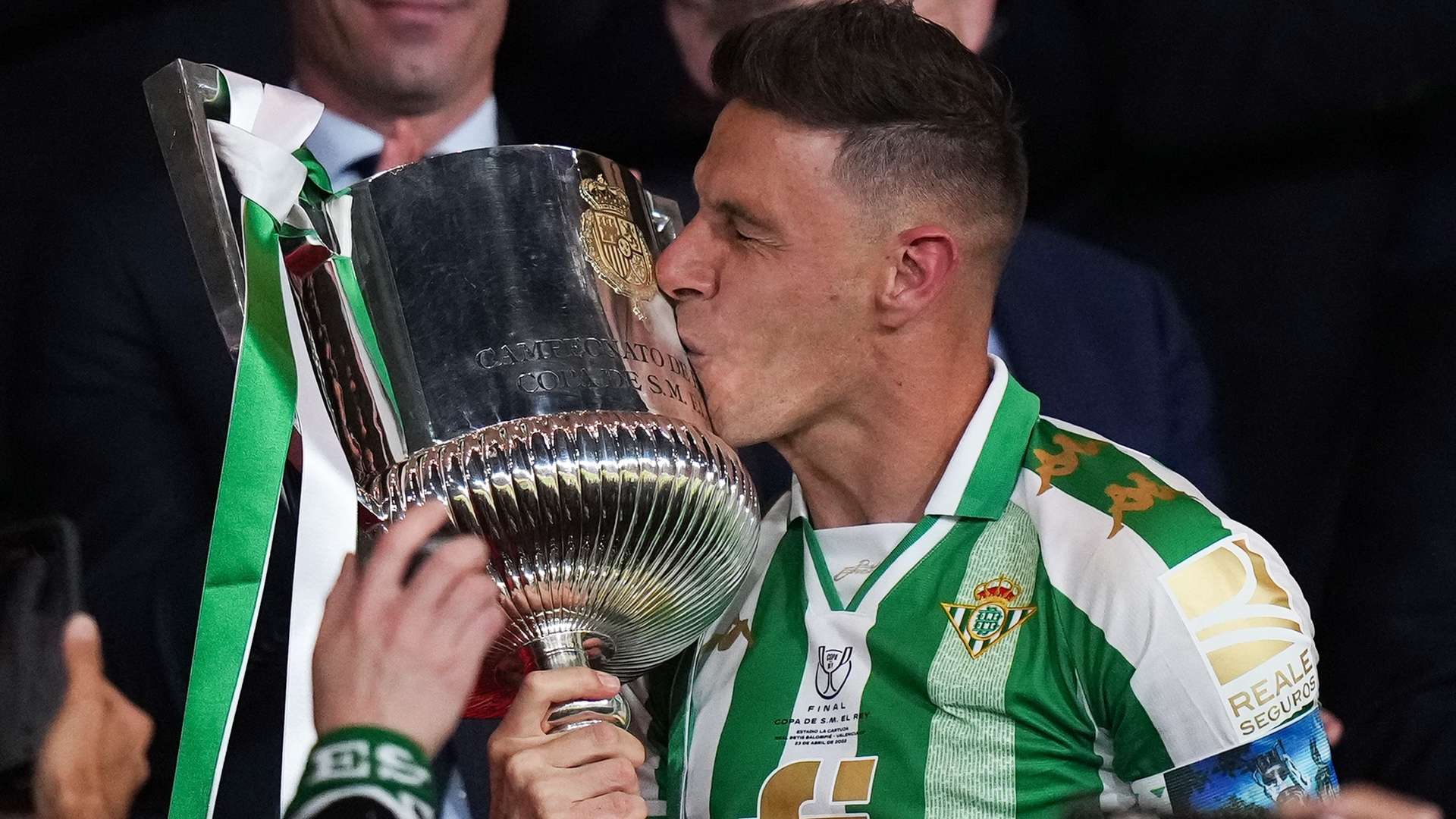 能最大化球 能最大化球