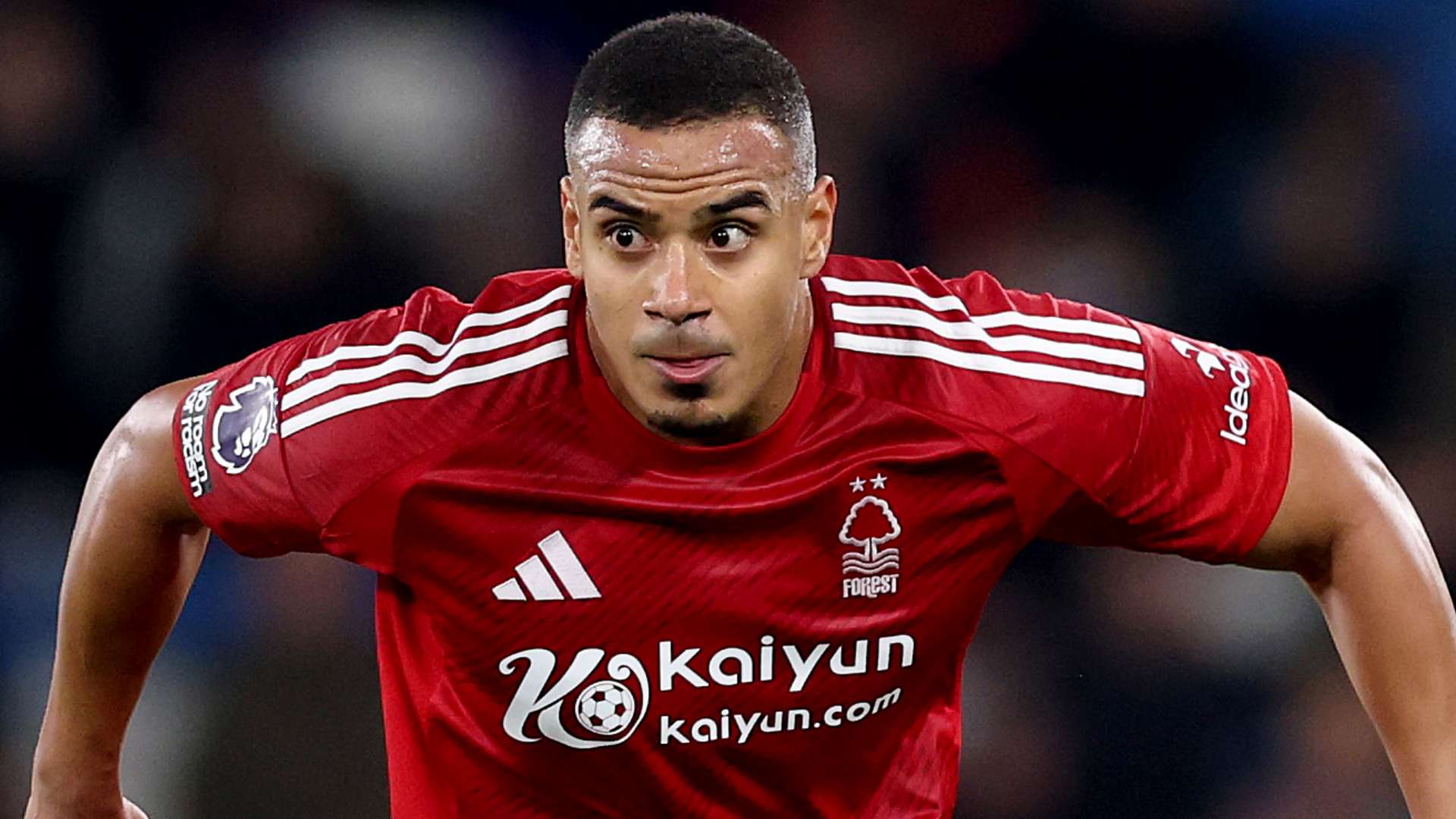 是我们一直 是我们一直