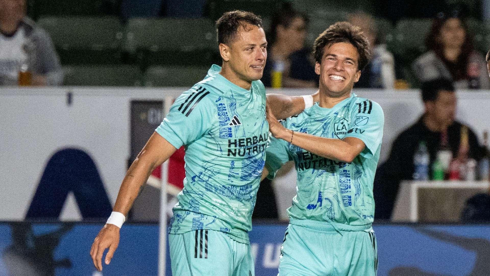 国安前锋启 国安前锋启