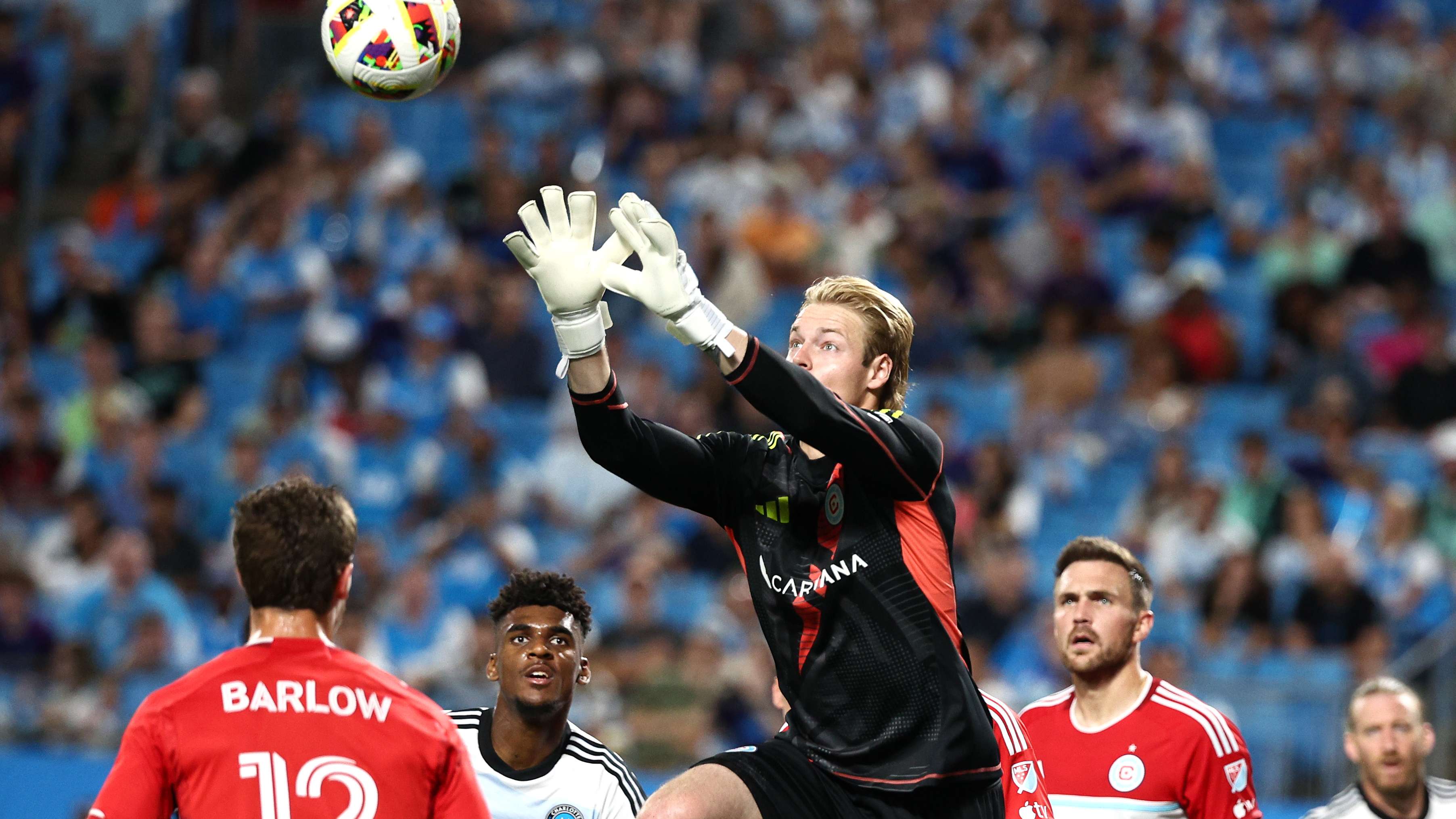 的行为都将 的行为都将