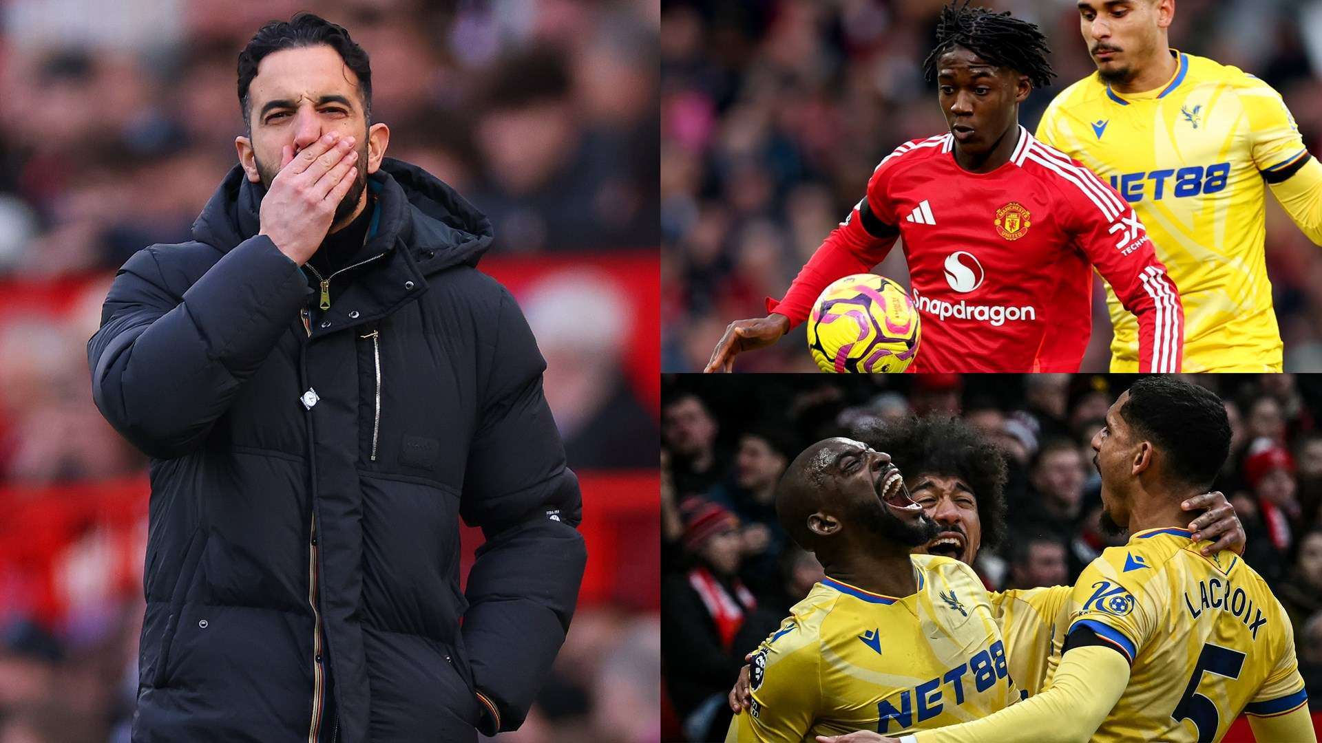 不僅有效限 不僅有效限